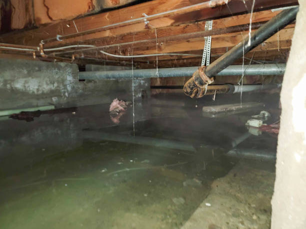 Best Local water damage restoration  in Copper Canyon, TX