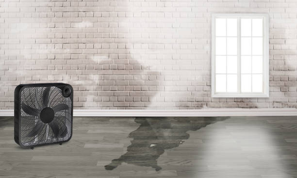 Best Flood restoration services  in Copper Canyon, TX