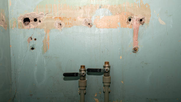 Best Flooded house restoration  in Copper Canyon, TX