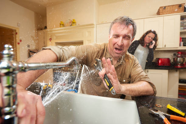 Best Mold removal after water damage  in Copper Canyon, TX